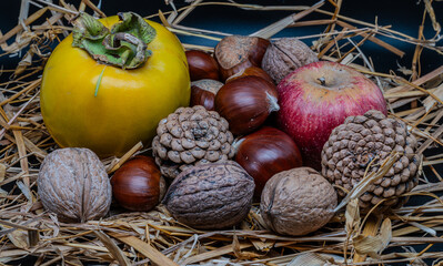 Still life of typical autumn fruits 2