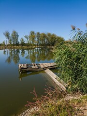 A rural landscape: the calm surface of a flat river, a fisherman's platform, and the reflection of trees on the opposite bank in the water on a sunny day in mid-October