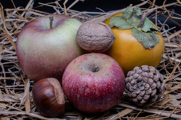 Still life of typical autumn fruits 2