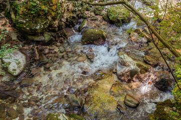 Over millions of years, the Orfento River (in the municipality of Caramanico Terme) has carved out a narrow gorge now covered by dense riparian vegetation featuring willows, ferns, and mosses.