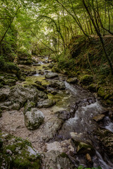 Over millions of years, the Orfento River (in the municipality of Caramanico Terme) has carved out a narrow gorge now covered by dense riparian vegetation featuring willows, ferns, and mosses.
