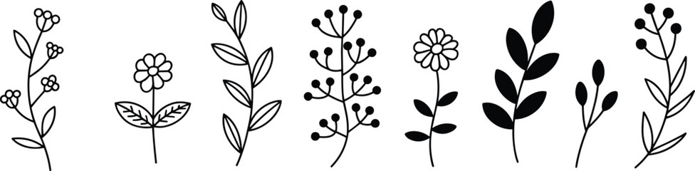 Botanical line art, floral sketch, minimalist plant drawing, black and white nature illustration, elegant foliage, hand-drawn botanical elements, flat vector illustration