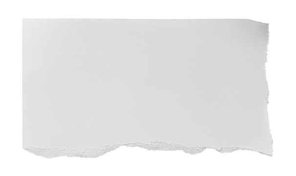 Blank Torn Edge Paper Note Isolated on Transparent Background, Realistic Sheet with Natural Texture
