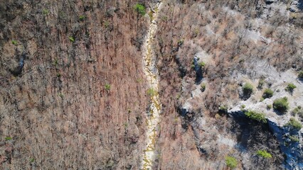 Drone flying over creek in autumn forest landscape. Media