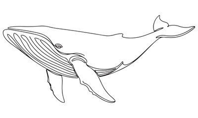Elegant Continuous Line Drawing of a Swimming Whale