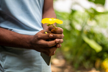 Closeup of hands holding a single yellow flower with a blurred green background