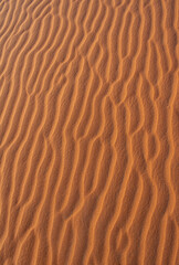 Merzouga, Morocco, Africa: close up and details of Erg Chebbi dunes, view of a dune in the Sahara desert, grains of sand forming small waves on the beautiful dunes at sunset 
