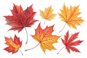 Obraz premium Vibrant autumn maple leaves arranged together for seasonal beauty
