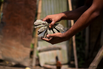 Hands holding a bundle of dried herbs or plant material outdoors