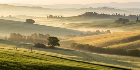 Morning sunlight over rolling oat fields, layers of gold and pale green, mist drifting between low hills, tranquil rural mood