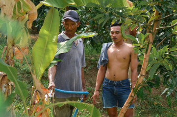 A father gently waters the shoot of a young banana plant among the dense greenery while his son stands beside him observing the growth with attention.
