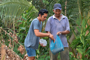 A father with a cigarette in his hand and his son open a plastic bag of fish food near the pond in their farmland, preparing to feed the fish together.