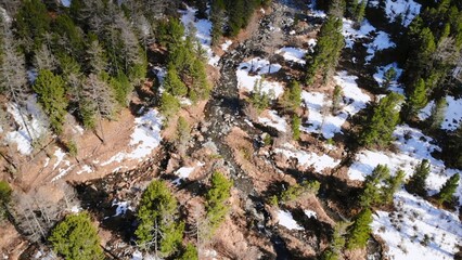 Mountain stream flows through snowy evergreen forest. Media