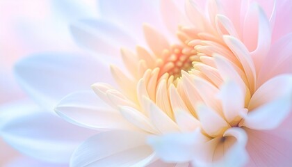 Macro Close-Up Of A Delicate Dahlia Flower With Soft Pastel Petals And A Yellow Center In Gentle Morning Light Showing Intricate Details
