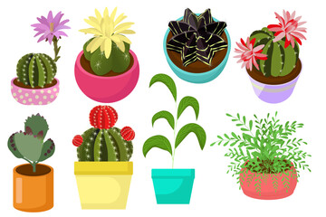 A set of vector illustrations featuring various houseplants in pots. The collection includes cacti with flowers and simple decorative plants with leaves of various shapes and sizes.