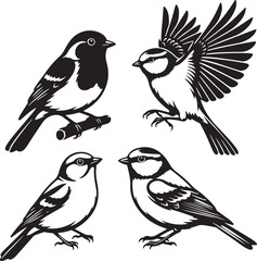 Set of 4 Bird Illustrations Titmouse Chickadee Wildlife  Nature Vector Art