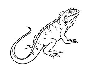 Wild forest animals line art illustration for coloring book