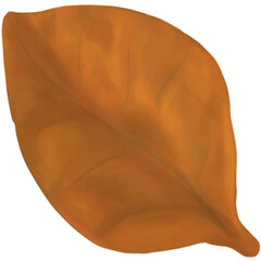 Autumn brown leave