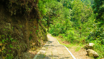 path near the mountains with lush green moss