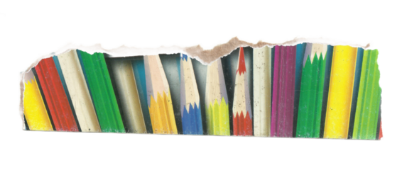 Torn Paper with Colorful Vertical Pencils on Transparent Background