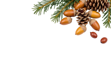 Natural elements like acorns, pine cones, and evergreen branches create cozy autumn atmosphere. Perfect for seasonal decor and crafts