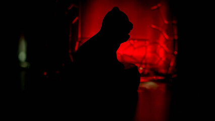 dark mystical theme: silhouette