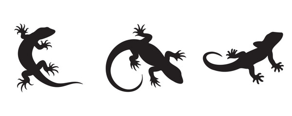 Set of three black gecko silhouettes isolated on white background. Vector illustration of lizard icons in different poses, perfect for design, logo, or decoration use