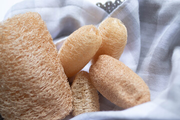 Texture and pattern of Loofah