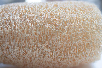 Texture and pattern of Loofah