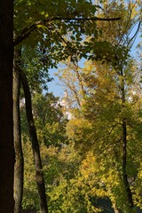  Vitebsk, Belarus, October 8, 2025. Trees in an old park in autumn.                              
