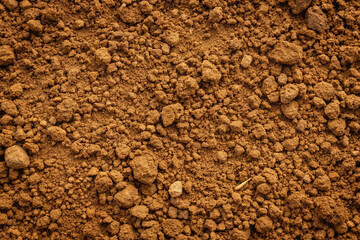 Soil Texture: An up-close view reveals the rich textures and tones of fertile earth, an essential element for life, representing the foundation for growth and sustainability.