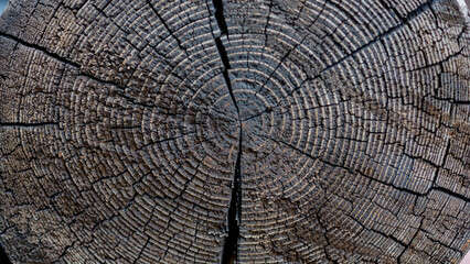 texture example: wood