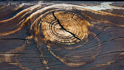 texture example: wood