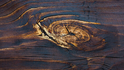 texture example: wood