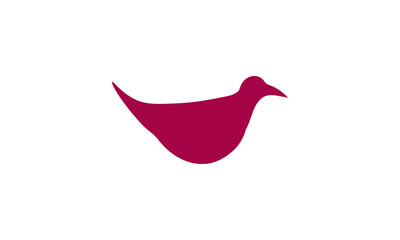 apollo duck