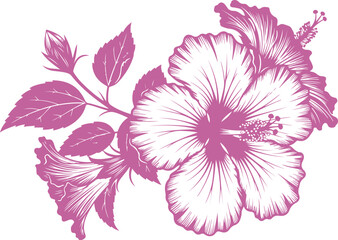 Obraz premium Vector art of pink hibiscus flower branch with buds