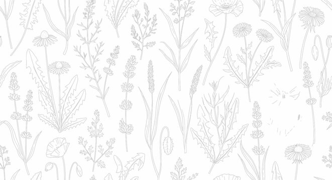Delicate botanical sketch pattern of wildflowers and herbs on a light background, suitable for stationery and design