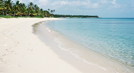 Serene Tropical Beach Paradise with Crystal Clear Turquoise Waters and Lush Palm Trees.