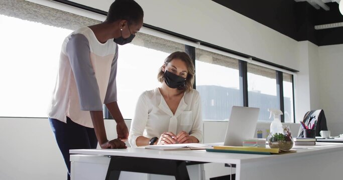Leaning professional colleagues reviewing documents and typing on laptop at office desk, with plant