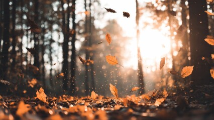 Autumn leaves falling enchanted forest nature tranquil atmosphere golden hour seasonal change
