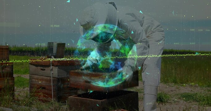 Inspecting comb frame suited beekeeper bending over hives on dirt path, with digital data overlay - Powered by Adobe