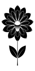 black and white flower