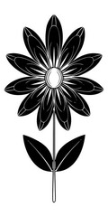 black and white flower