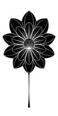 black and white flower