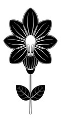 black and white flower