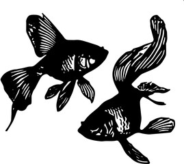 vector illustration of a fish
