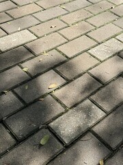paving stone texture