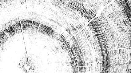 Grunge cross section of tree trunk with detailed organic wood texture rings cracks and natural circular pattern design. © Bryan