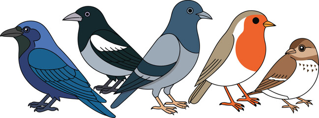 Fototapeta premium Five Stylized Birds Vector – Diverse Species in Profile Including Magpie, Robin, Sparrow, Pigeon, and Crow for Nature Themes