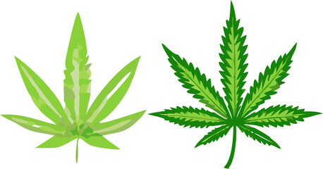 Two distinct cannabis leaf designs showing natural green hues and serrated edges